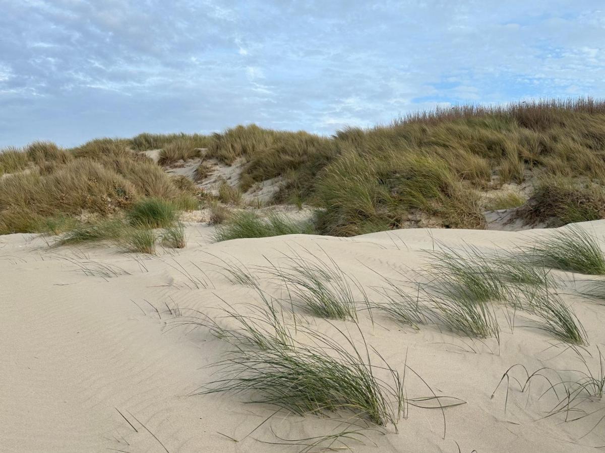 Appartement Plage Merlimont 10 Mn Berck Le Touquet Avec Jardin 외부 사진